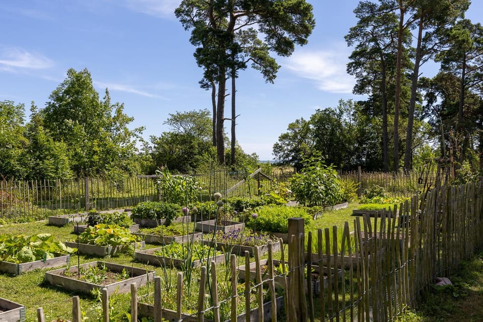 Property building, Garden view