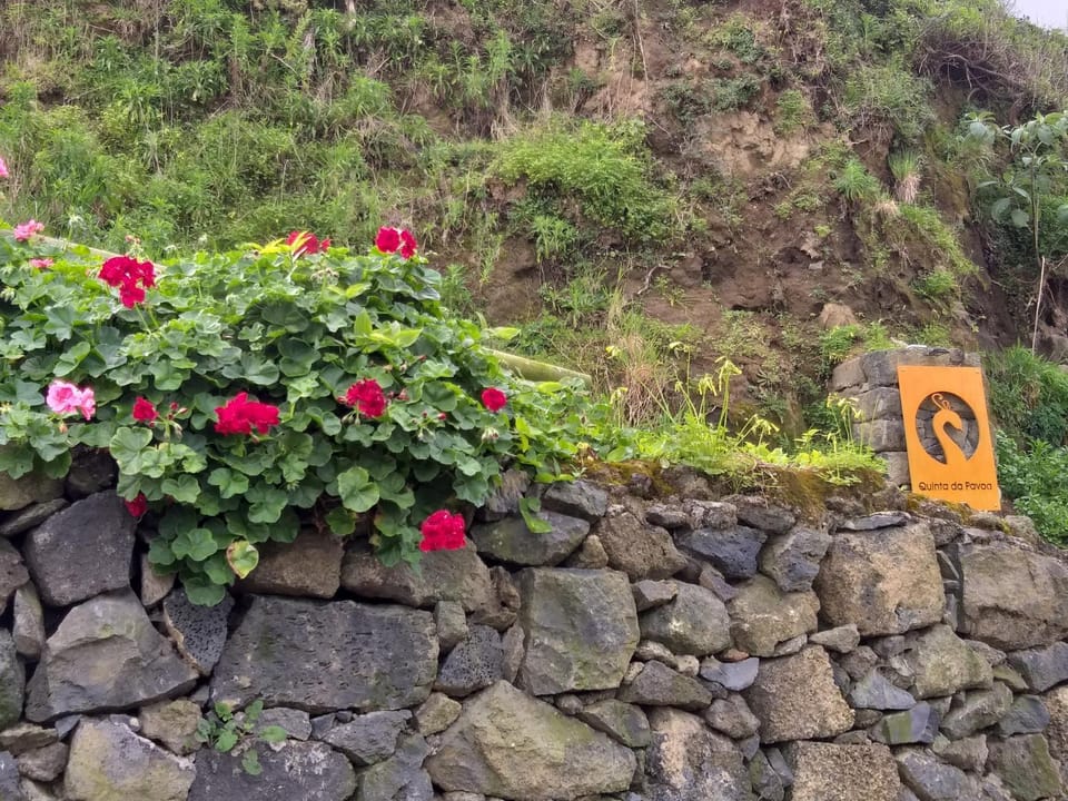 Quinta da Pavoa - Cottage House House in Azores District