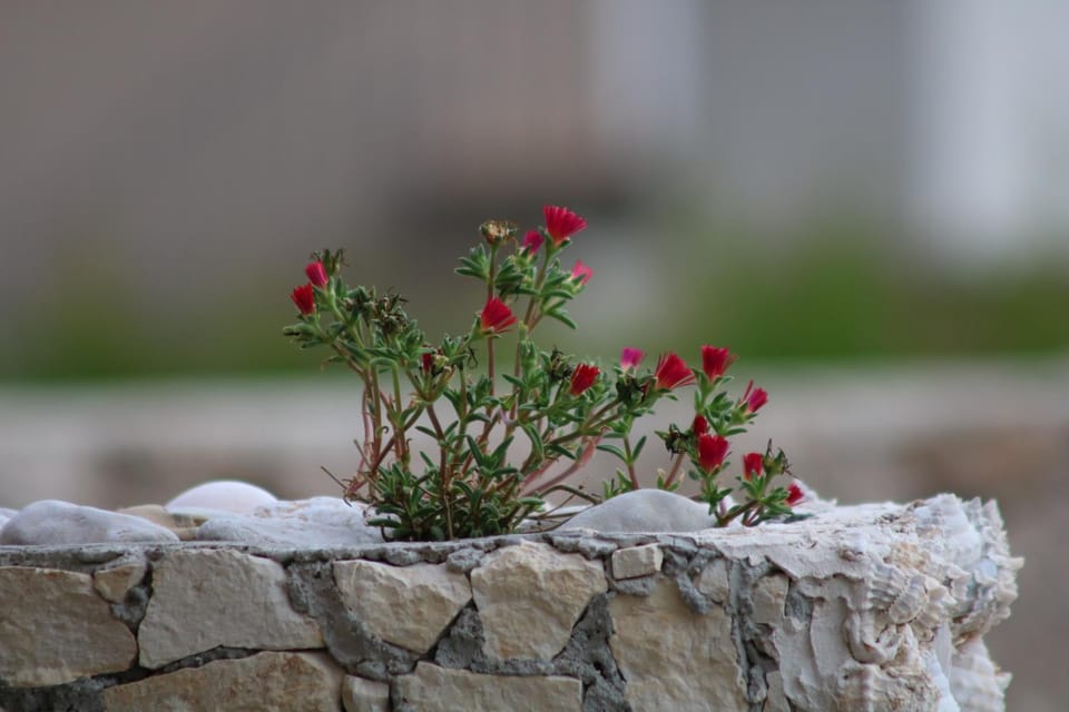 Apartman Toni Apartment in Split-Dalmatia County