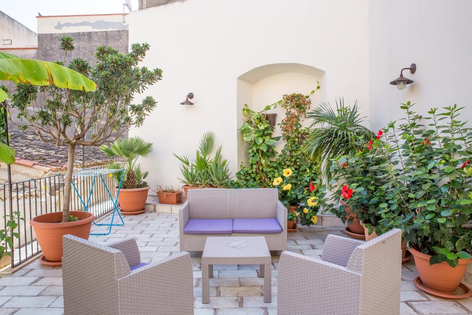 Patio, Garden, Solarium, Balcony/Terrace, Garden view, Area and facilities