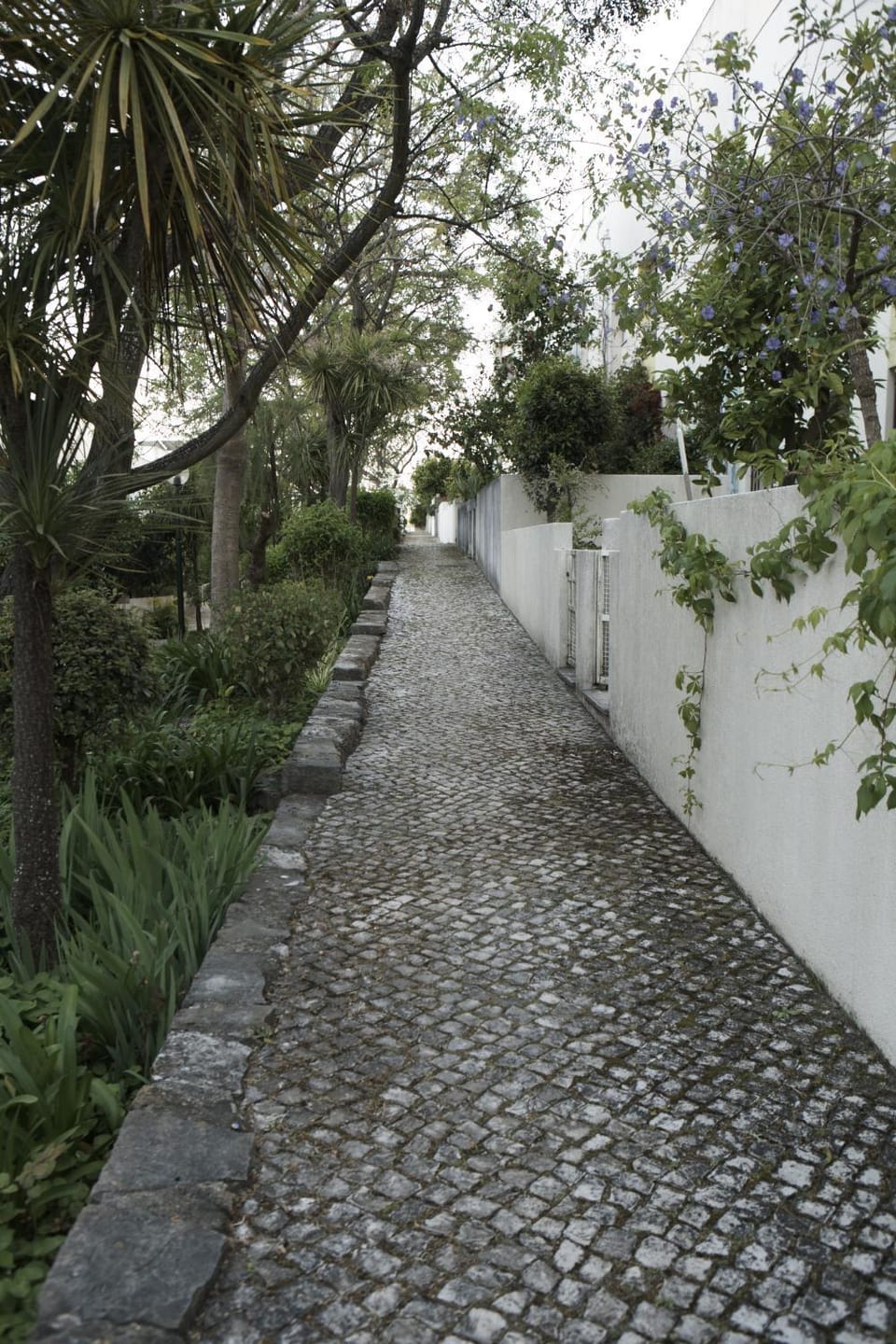 Happily Ever Lisbon Apartment in Lisbon