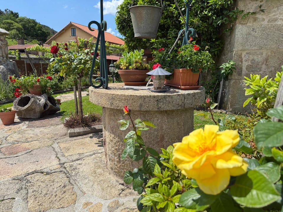 Garden, Garden view