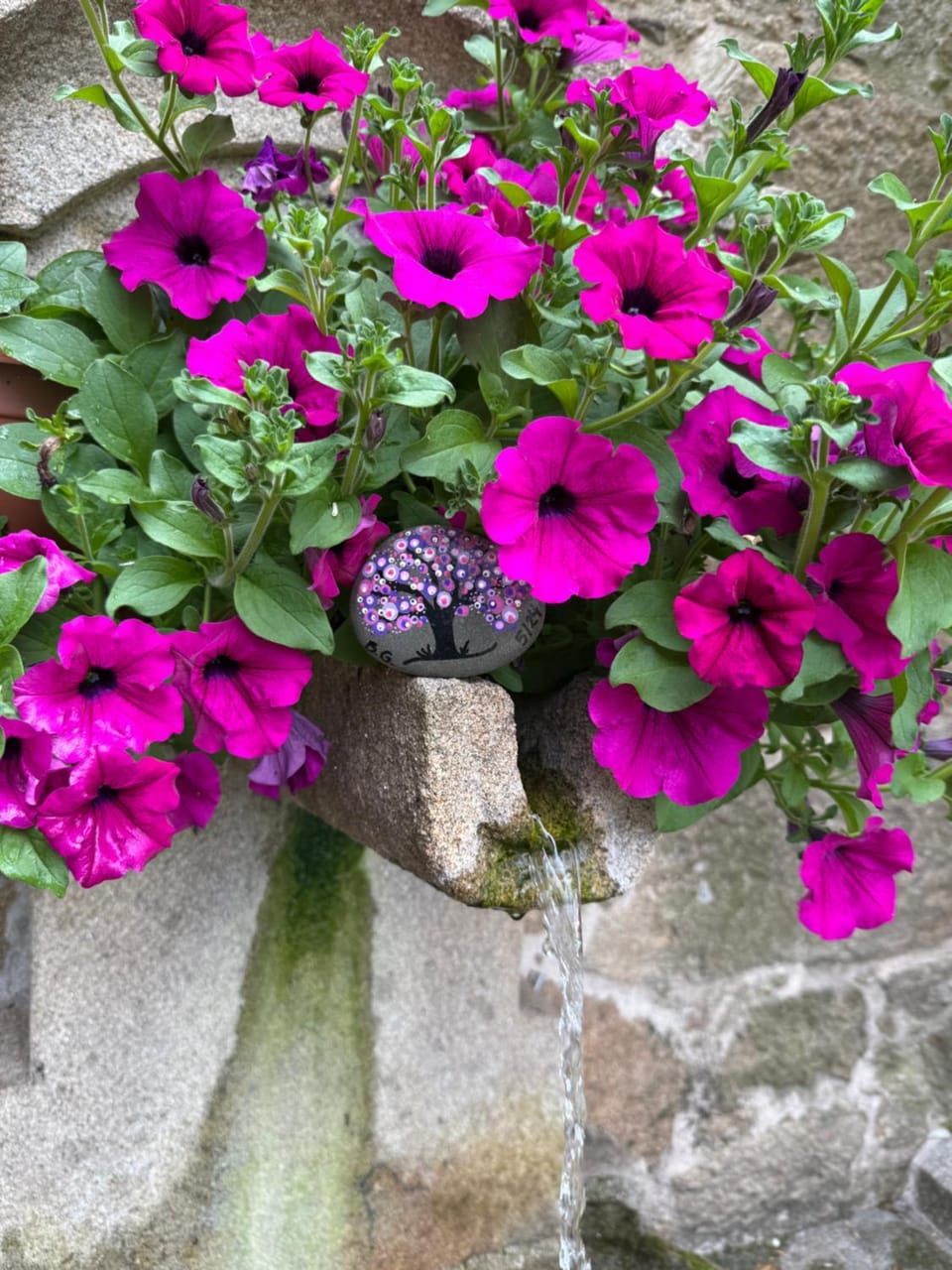 Spring