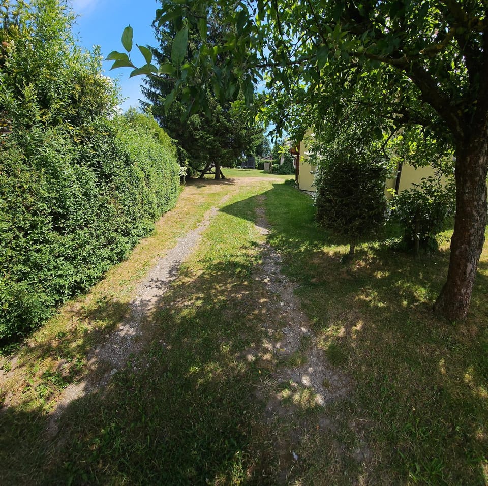 Natural landscape, Garden view
