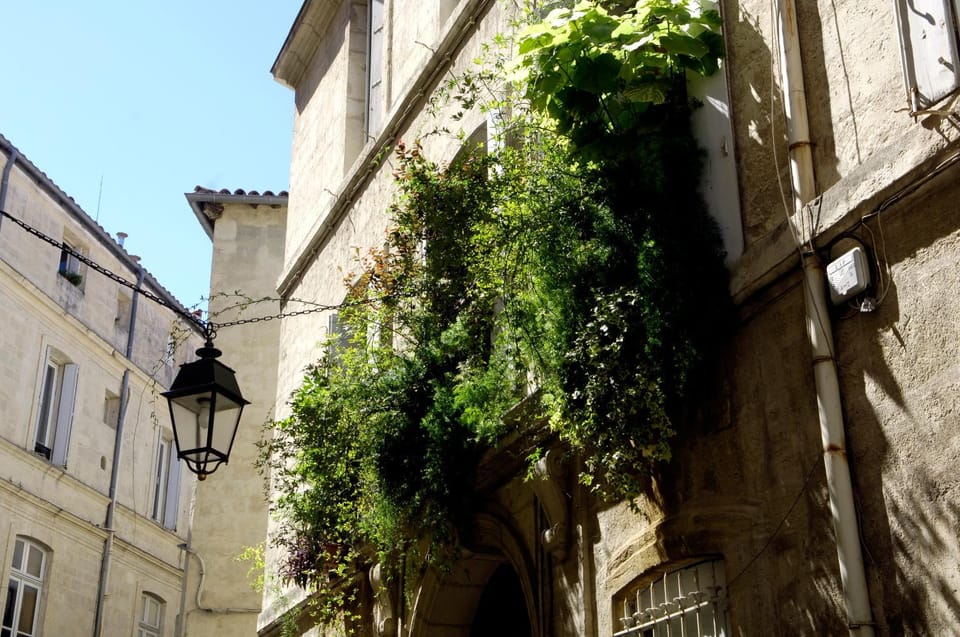 Facade/entrance, Neighbourhood, City view, Street view