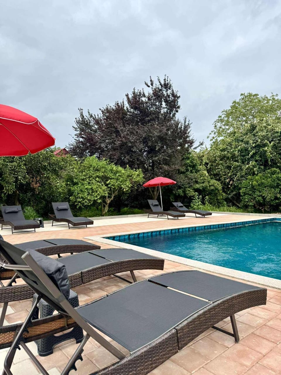 Patio, Day, Garden, Garden view, Pool view, Swimming pool, Swimming pool, sunbed