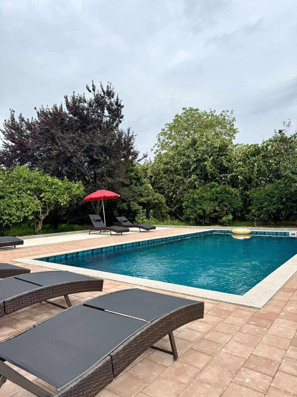 Day, Pool view, Swimming pool, Swimming pool, sunbed