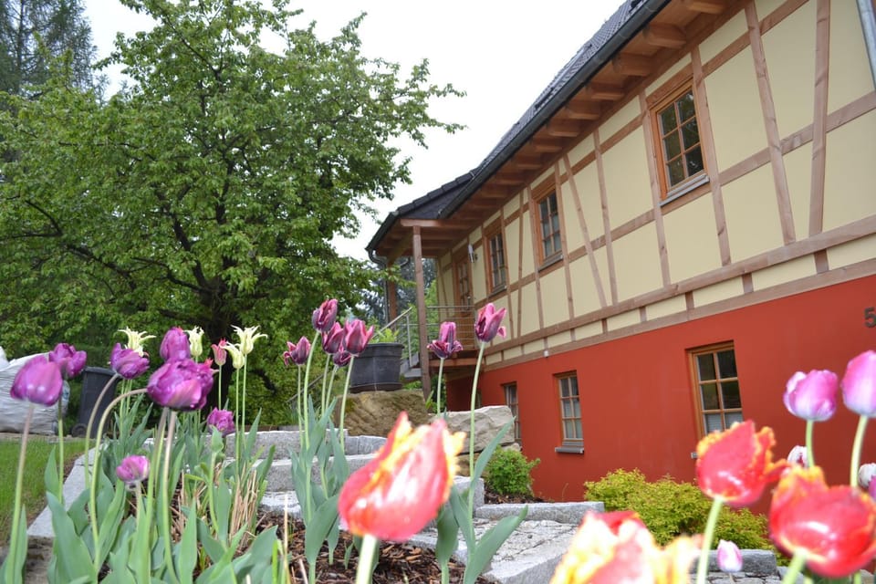 Ferienwohnung Brox Apartment in Sächsische Schweiz-Osterzgebirge