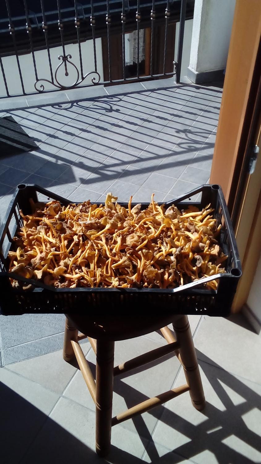 Casa Sonia Apartment in Friuli-Venezia Giulia