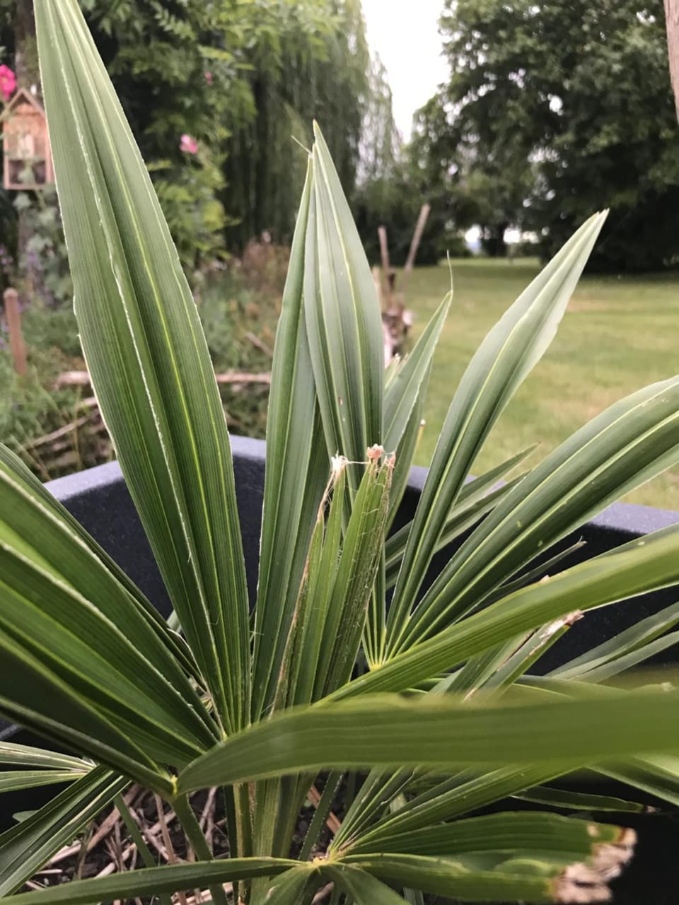 Campagn'Art Bed and Breakfast in Nouvelle-Aquitaine