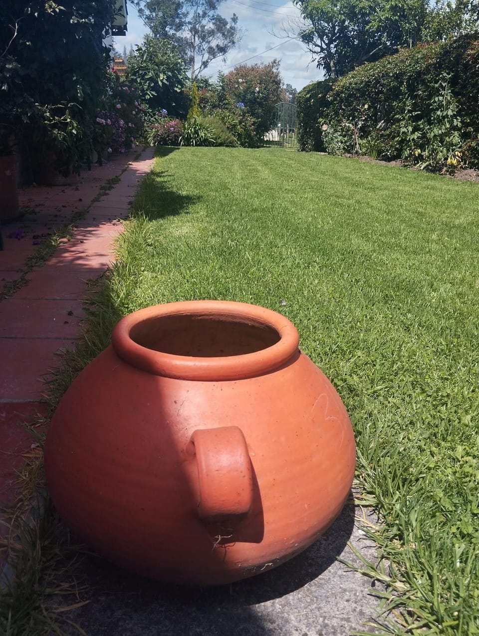 Garden view