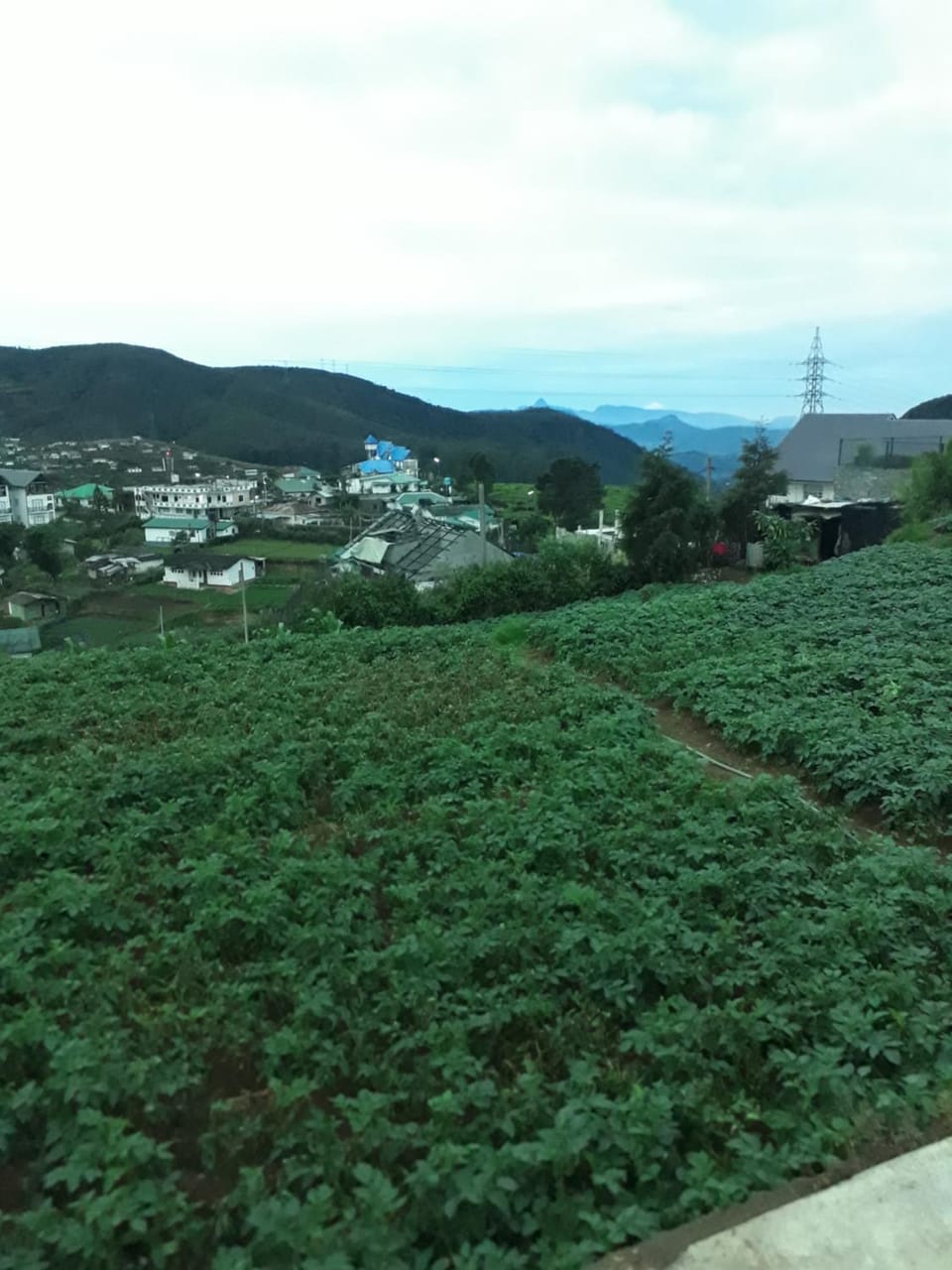 Rainyfreindz Bed and Breakfast in Nuwara Eliya