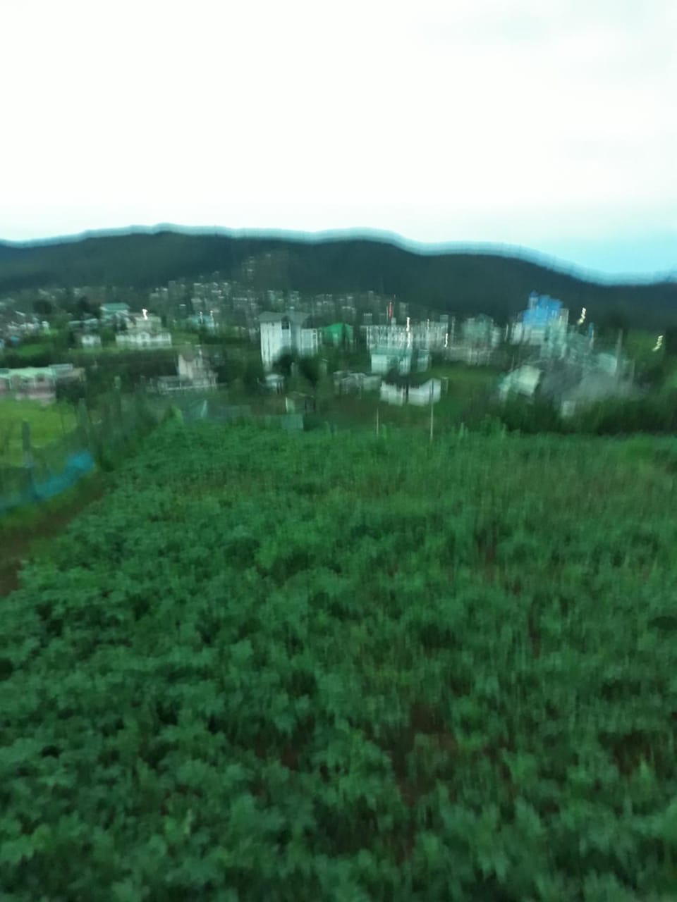 Rainyfreindz Bed and Breakfast in Nuwara Eliya