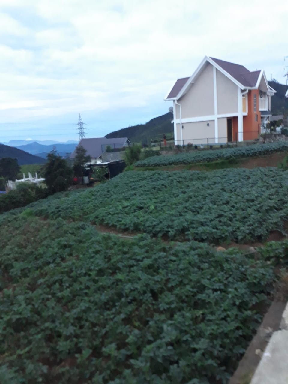 Rainyfreindz Bed and Breakfast in Nuwara Eliya