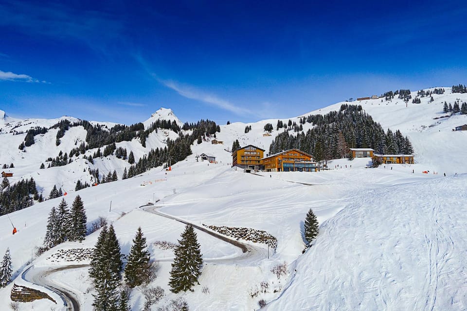 Winter, Skiing, Mountain view