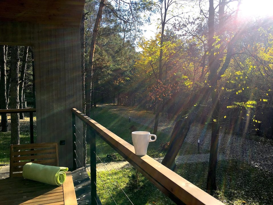 Day, Natural landscape, Garden, Balcony/Terrace, Balcony/Terrace, Garden view