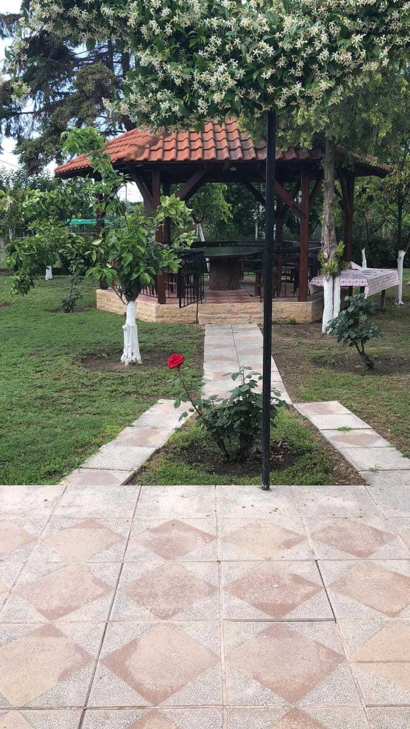 Best summer vacation House in Halkidiki