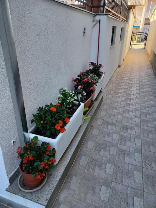 Cozy and nice apartment Apartment in Split