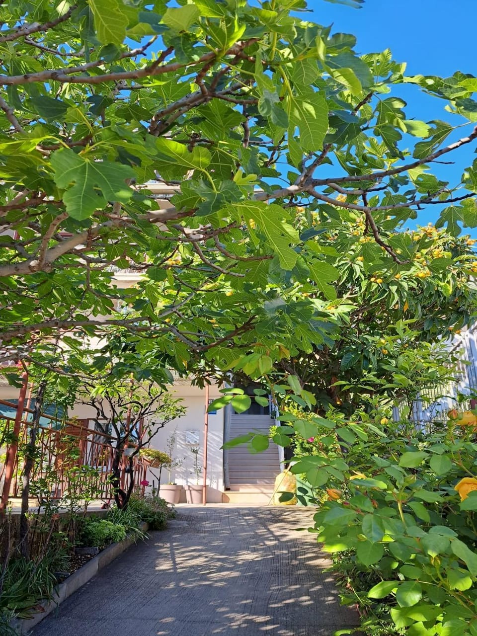 Inner courtyard view