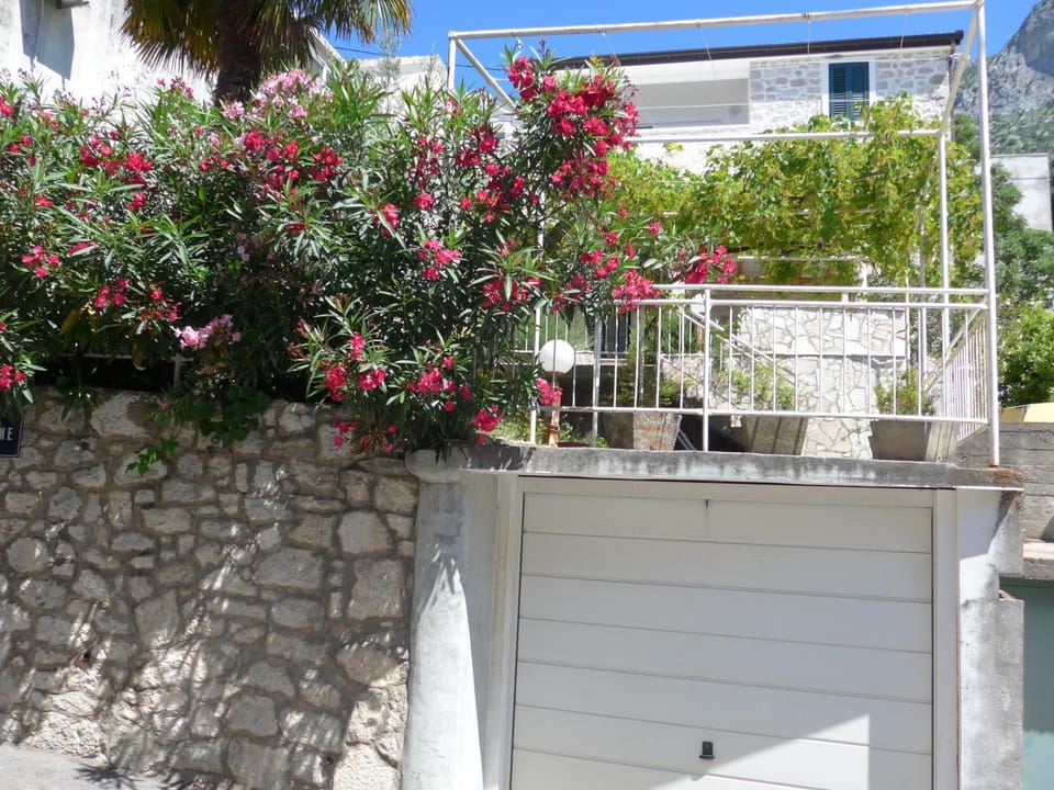 Garden, Parking