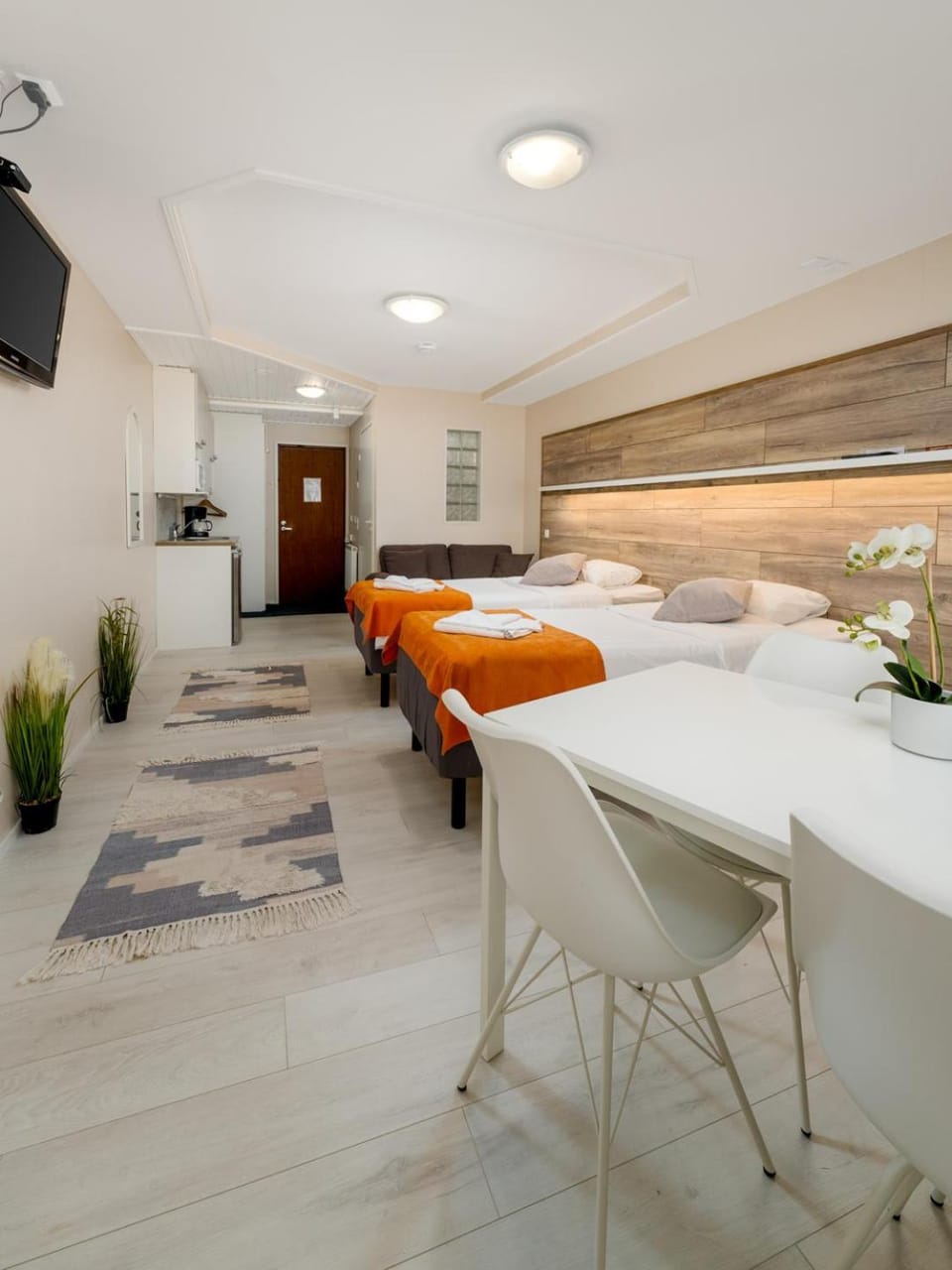 Bed, TV and multimedia, Kitchen or kitchenette, Photo of the whole room, Bedroom