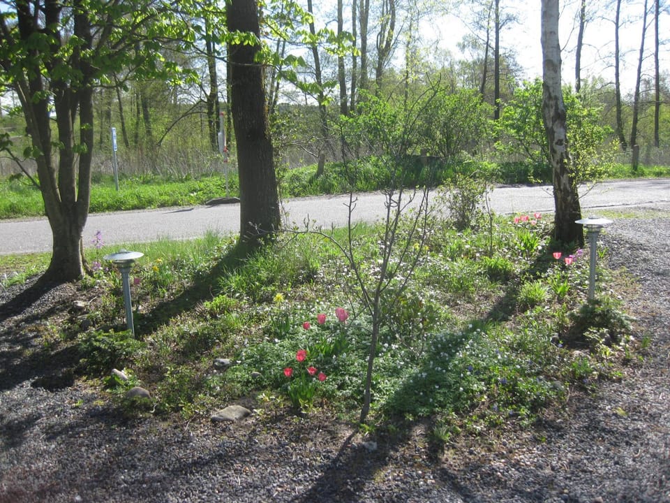 Ved Vandet Apartment in Central Denmark Region