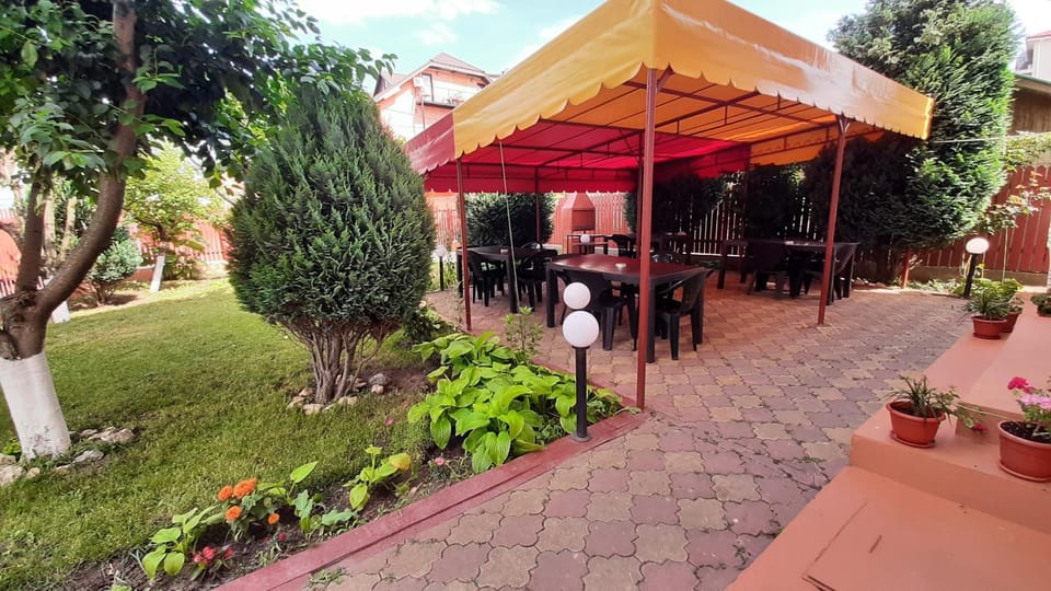 Vila Tropical Bed and Breakfast in Constanța County