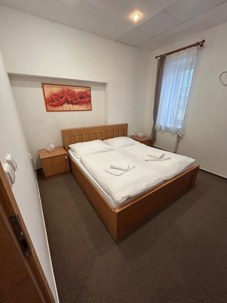 Hotel Allvet Hotel in South Moravian Region