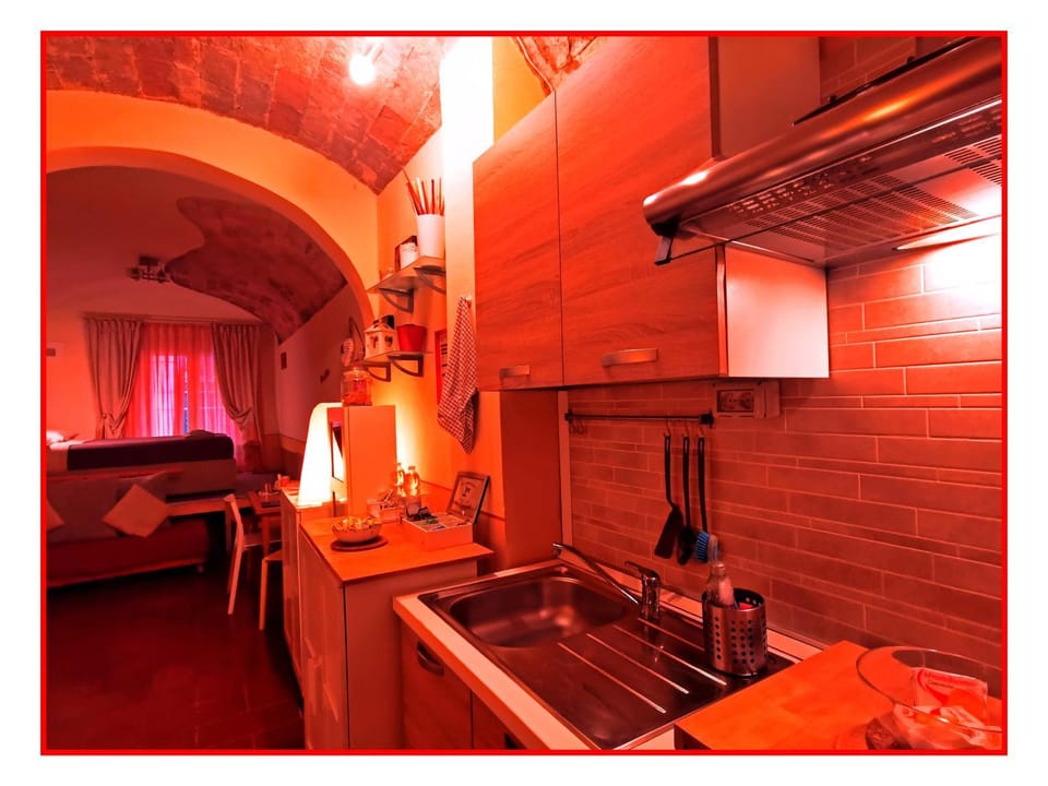 Kitchen or kitchenette, kitchen