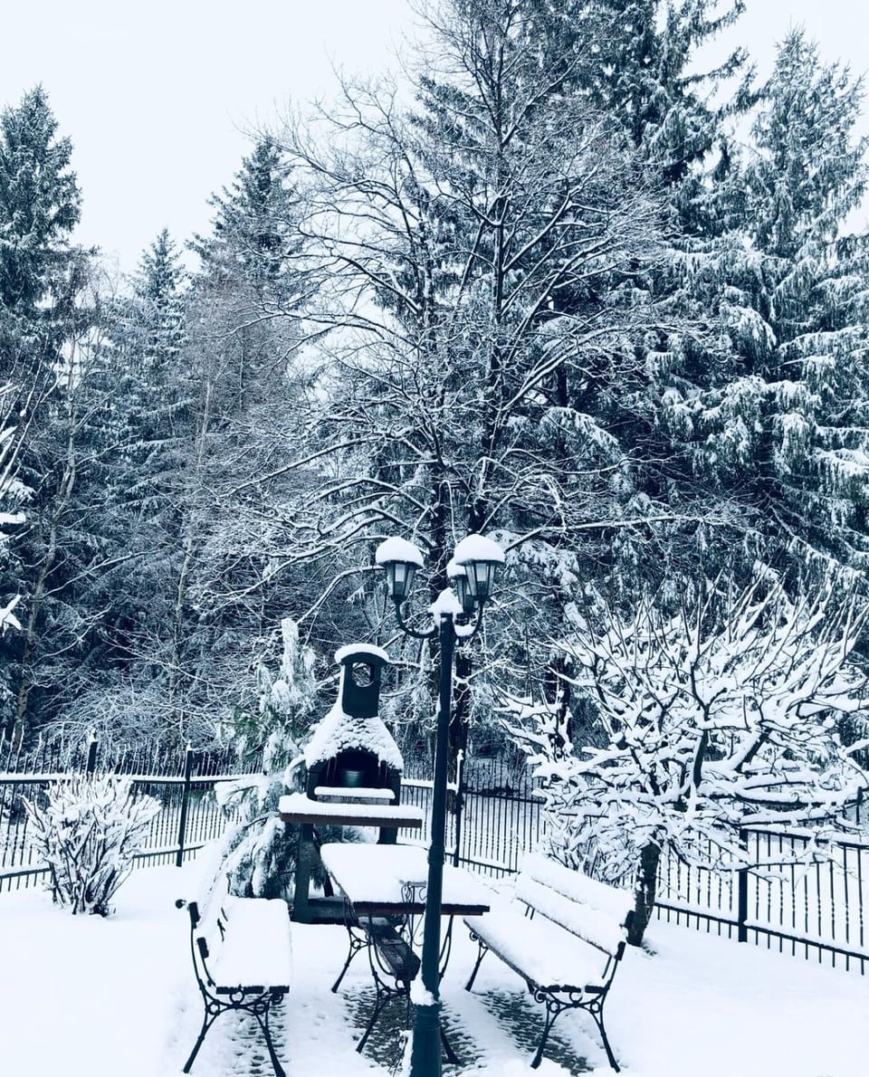 Winter