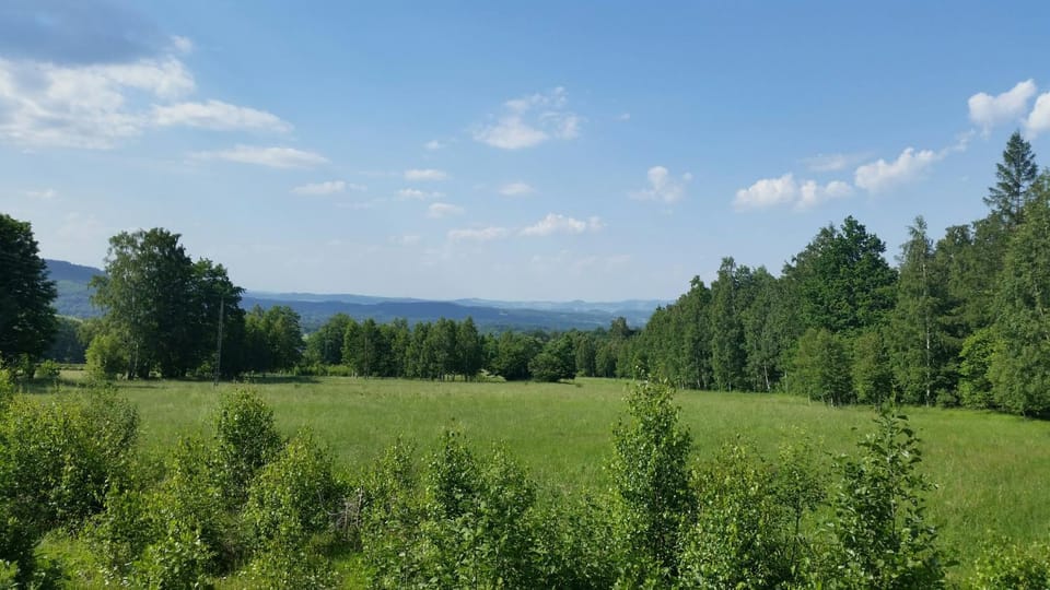 Natural landscape