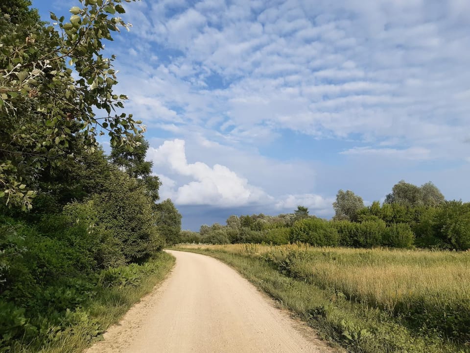 Natural landscape