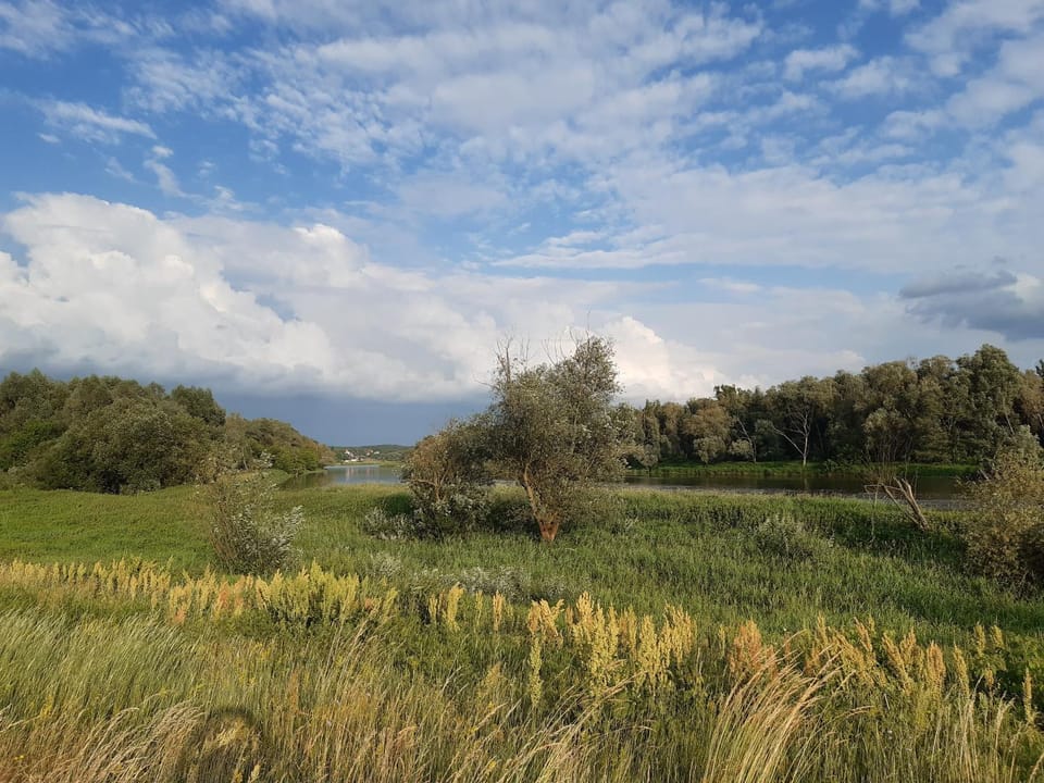 Natural landscape