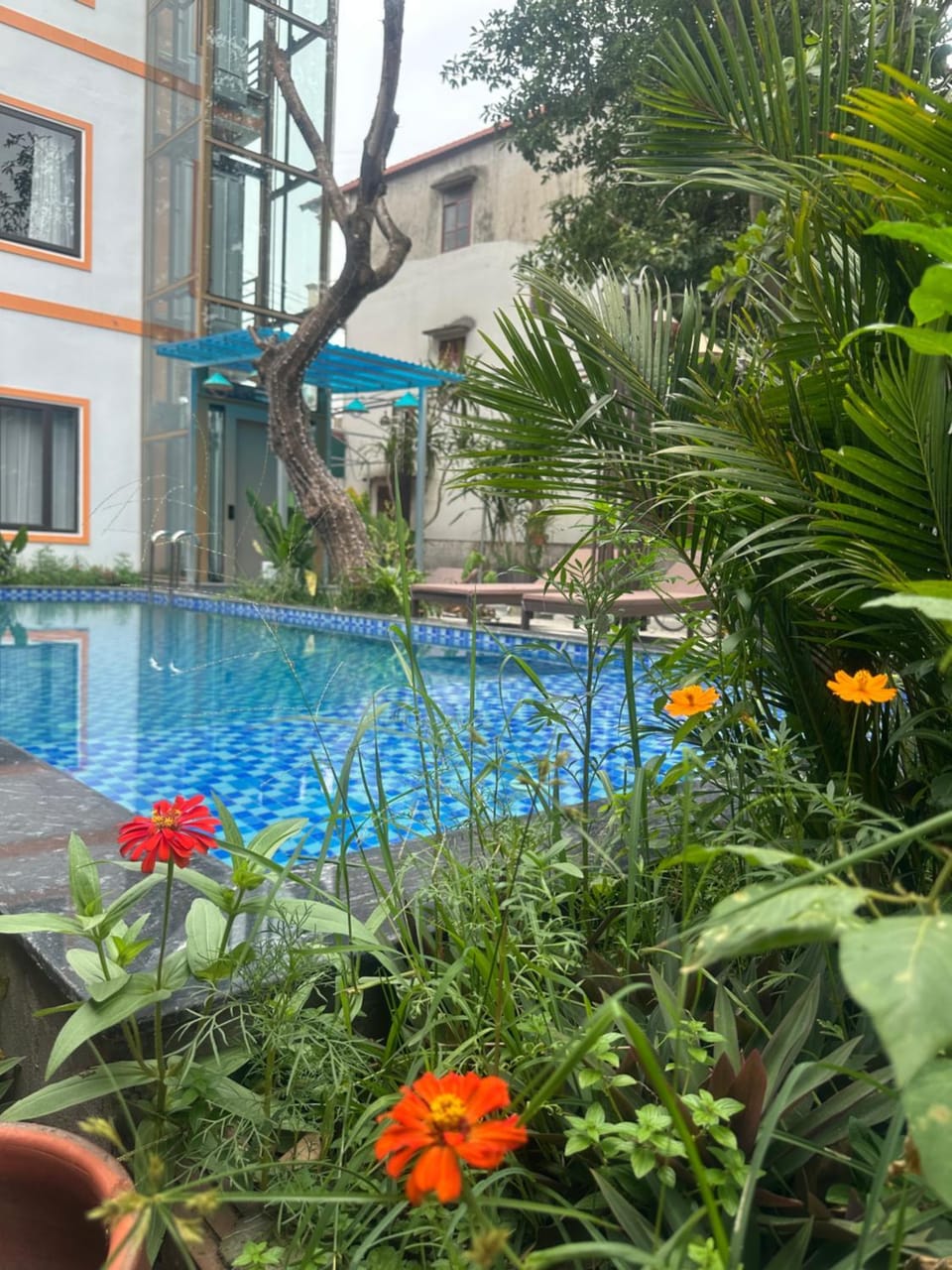Tam Coc Vinh Thinh Homestay Hotel in Laos