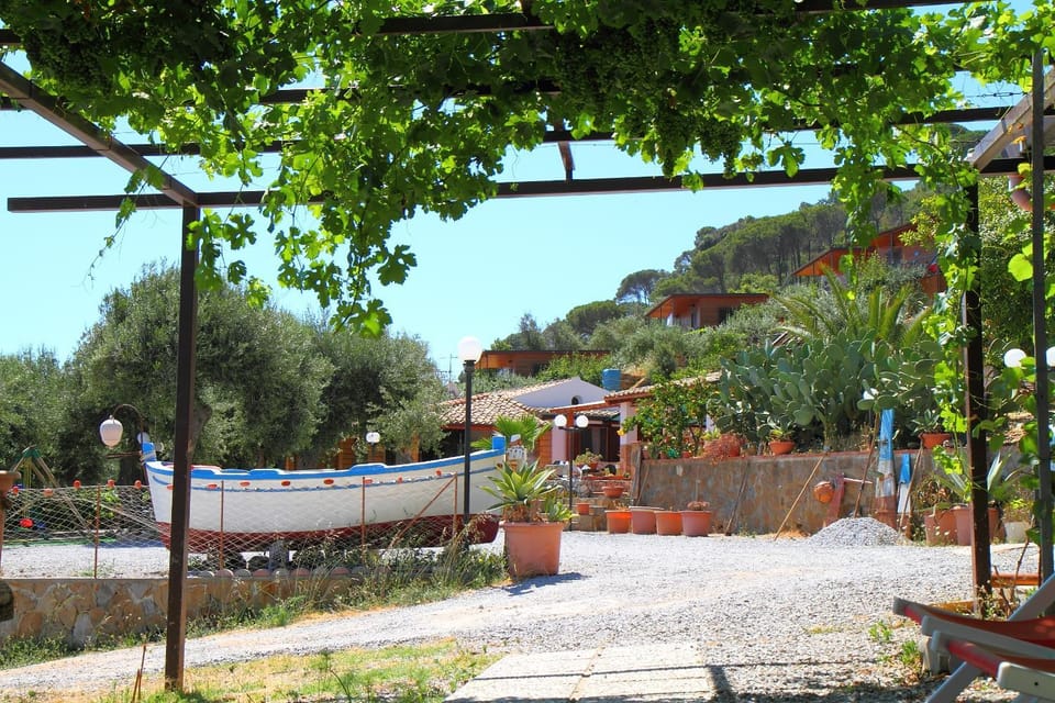 Day, Garden, Garden view