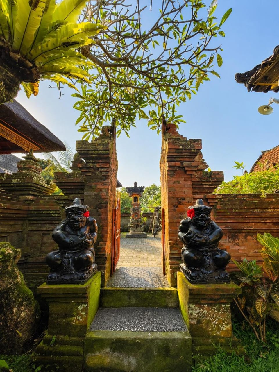 Day, Garden, Garden view