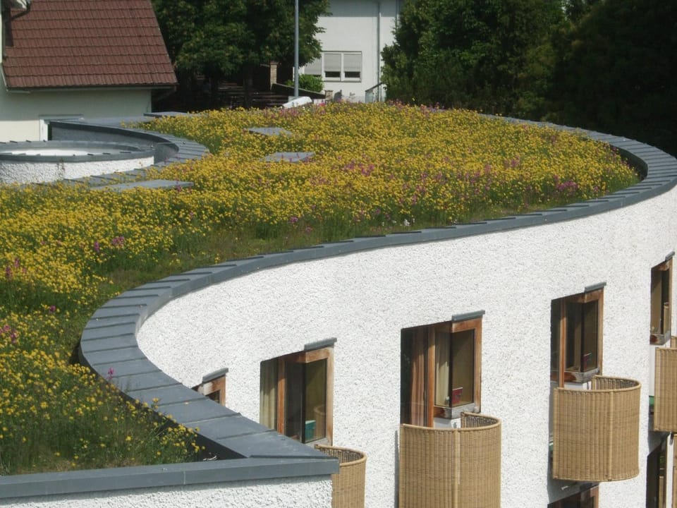 Property building, Bird's eye view