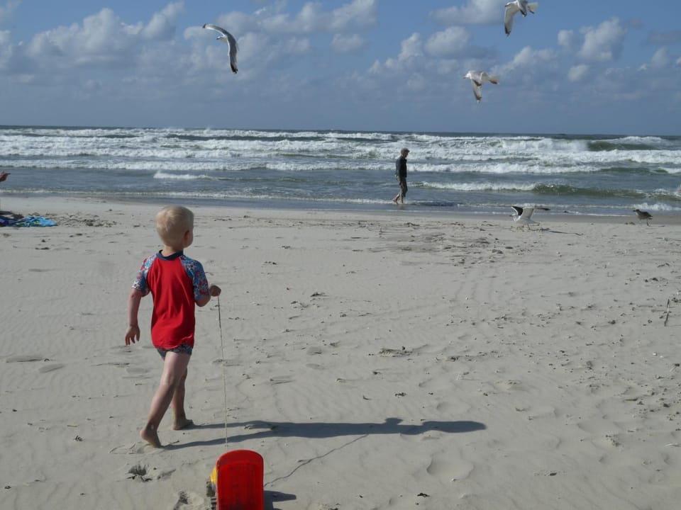 Natural landscape, Beach