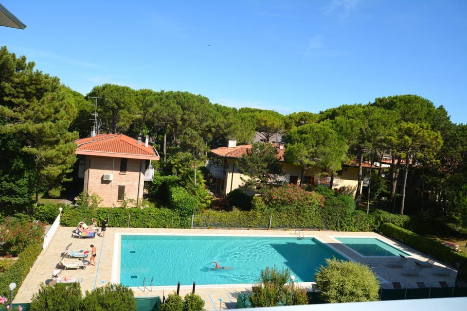 Pool view, Swimming pool