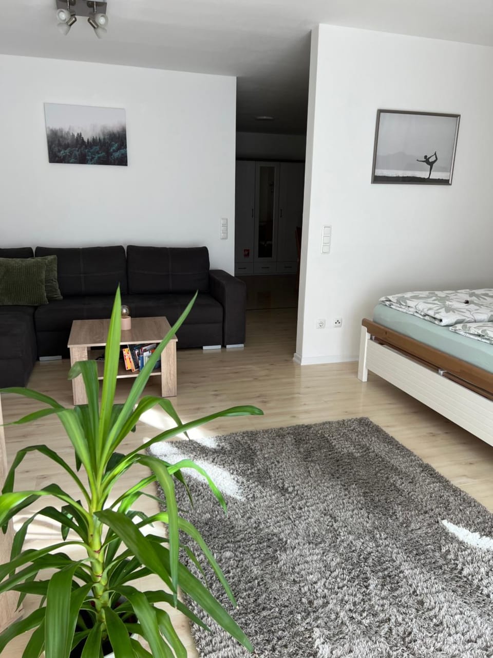 Living room, Bedroom