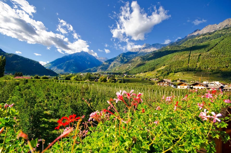 View (from property/room)