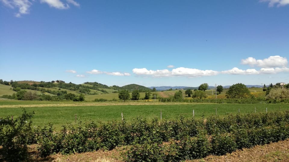 Agriturismo cavallin del papa Apartment in Tuscany