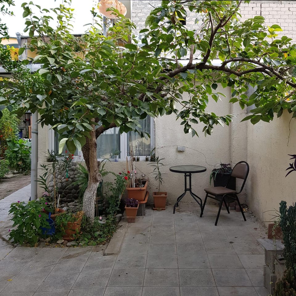 Patio, Garden