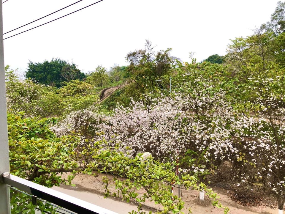 Spring, Day, Natural landscape, Landmark view