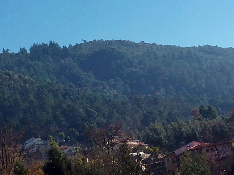 Day, Natural landscape