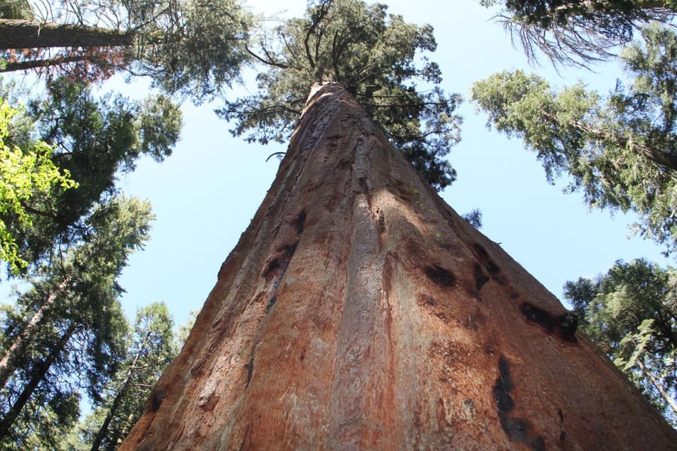 Off site, Natural landscape