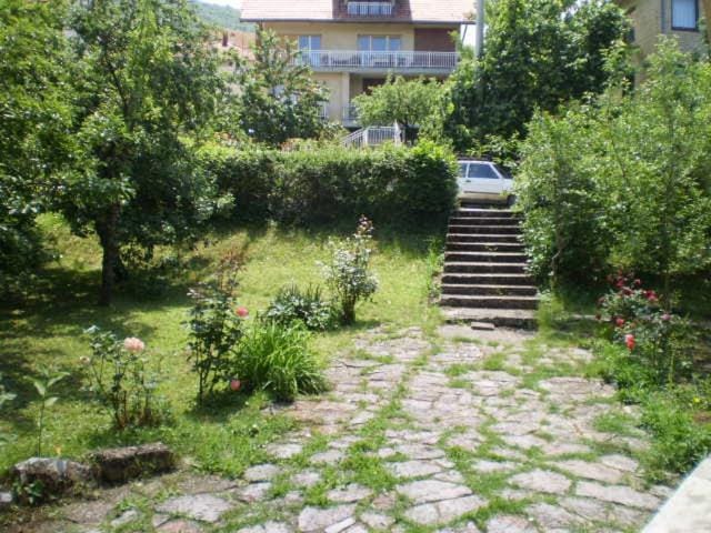 Studio Elizabeta Apartment in Serbia