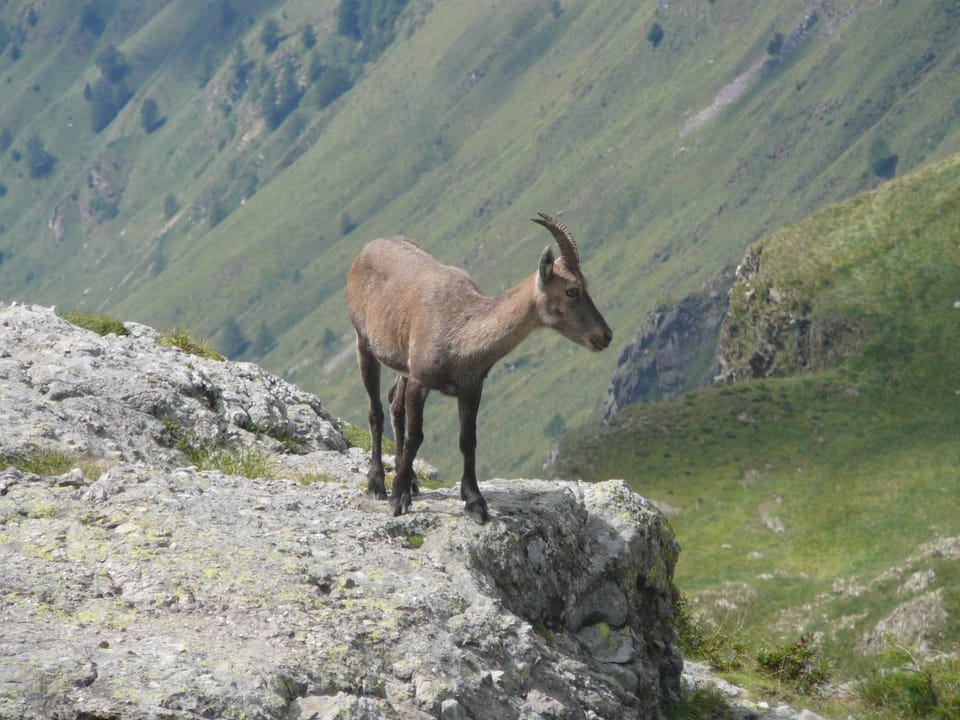 Lullaby B&B Apartment in Province of Lecco