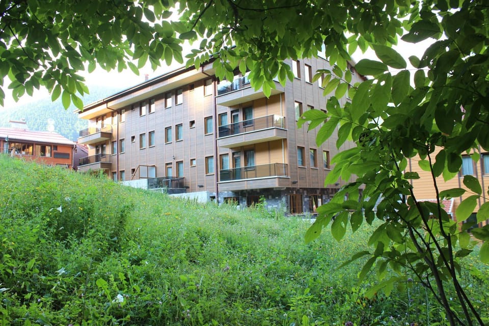 Property building, Day, Summer, On site, Mountain view