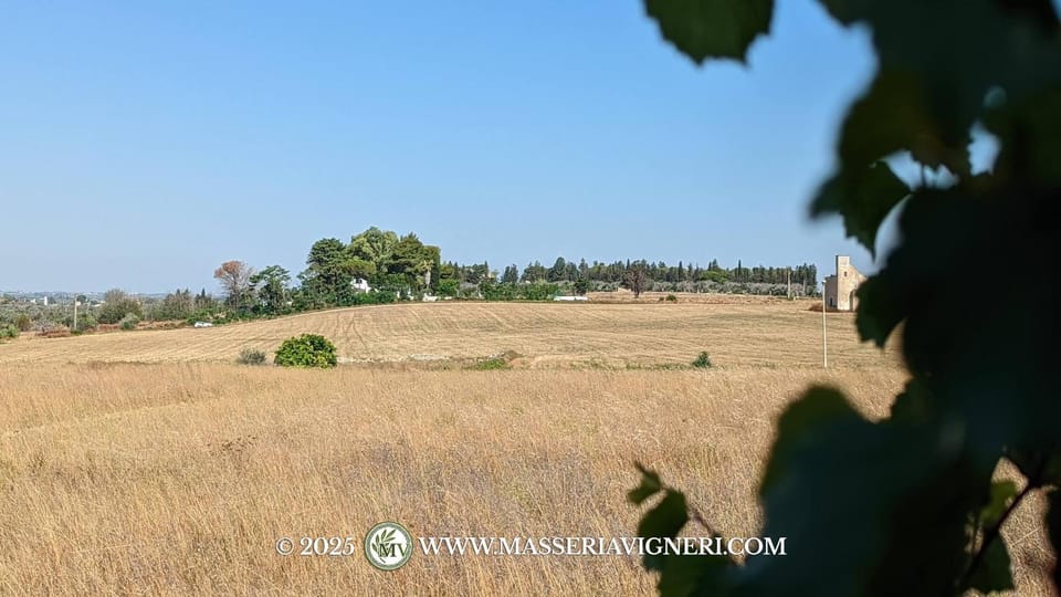Masseria Vigneri - Già Casino Vigneri Bed and Breakfast in Apulia